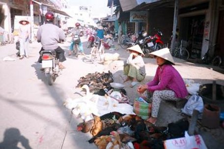  Người dân quê gom góp những rau, củ, con gà, con vịt còn dư đem ra chợ bán để có thêm thu nhập.