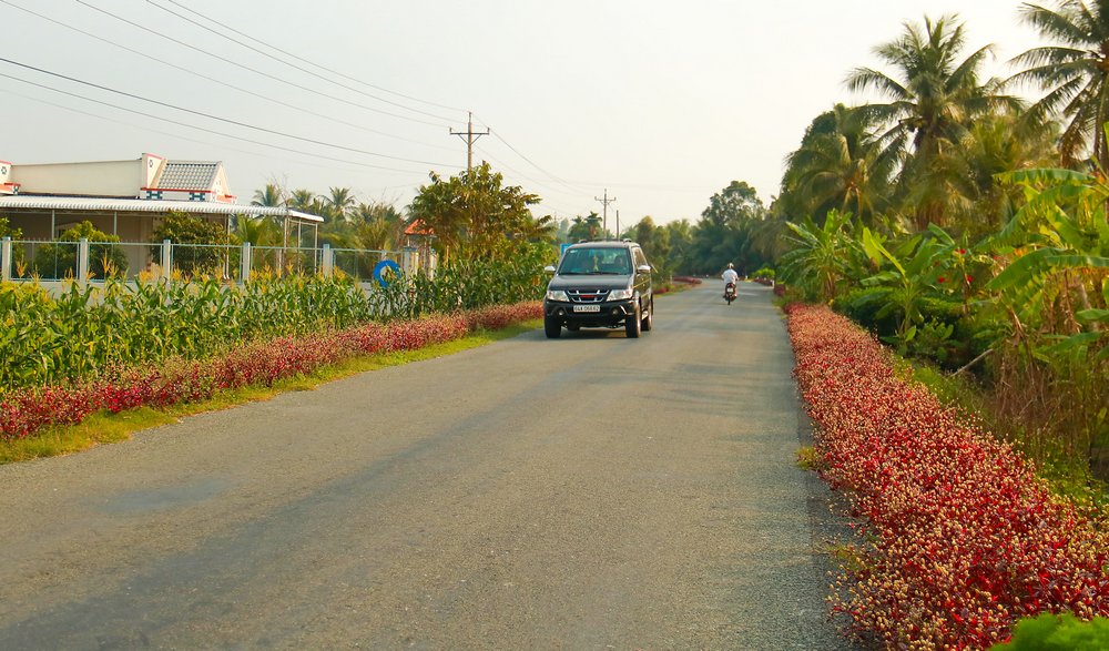  Đến xã Mỹ Lộc (Tam Bình), có cảm thấy như lạc vào “công viên” giữa làng quê nông thôn thanh bình.
