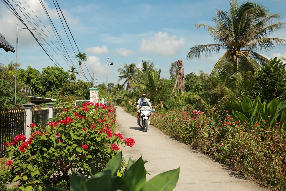  Nông thôn trở lên đáng sống hơn nhờ những con đường trồng đầy hoa 2 bên. Trong ảnh: Một con đường hoa khác đa sắc màu cũng trên địa bàn xã Tân Phú (Tam Bình).