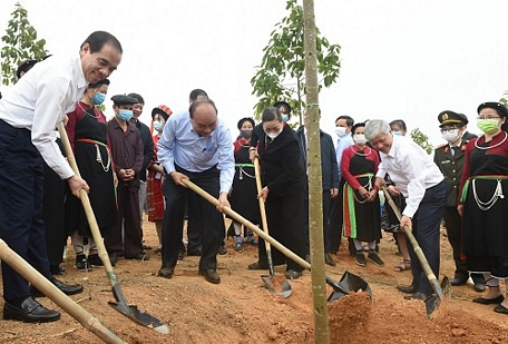 Thủ tướng Nguyễn Xuân Phúc dự Tết trồng cây hưởng ứng Chương trình trồng 1 tỷ cây xanh 