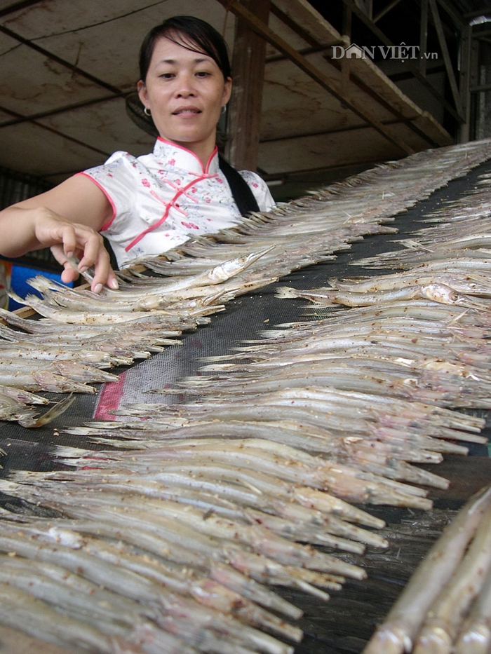  Chị Trần Thị Kim Yến, ở Rạch Giá (Kiên Giang), chủ cửa hàng bán khô lìm kìm cho biết: Cá lìm kìm rất hiếm, một năm xuất hiện một lần. Vì vậy giá cá khô thường giao động từ 500.000 đến 550.000 đồng/kg.