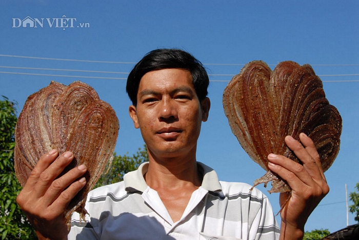  Anh Lê Văn Tiểu, người chuyên làm khô rắn ở xã Vĩnh Hội Đông, cho biết: Trung bình 12 kg rắn tươi cho ra 1kg khô rắn. Do vậy, giá khô rắn cũng rất cao, từ 200.000 - 400.000 đồng.