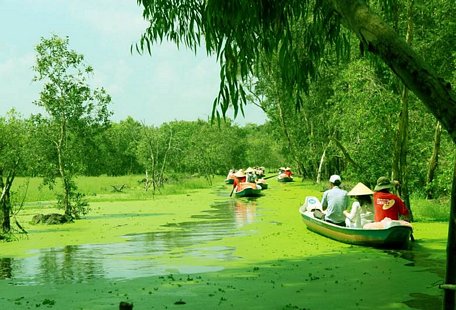 Hệ thực vật của rừng tràm Trà Sư (An Giang) mang tính đặc trưng của vùng ngập lũ Đồng bằng sông Cửu Long. Ảnh: M.T/Báo Tin tức