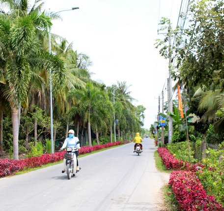 Tuyến đường giao thông của xã Trung Hiệp được trồng hoa, cây kiểng và đầu tư đèn đường thắp sáng tạo cảnh quan sáng- xanh- sạch- đẹp.