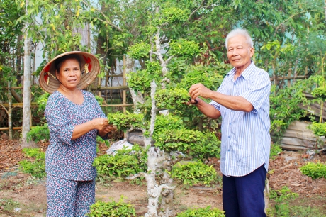 Vợ chồng bà Hiền đã hiến 150m2 đất xây đường, cùng chăm sóc cây kiểng trước nhà để làm đẹp cảnh quan.