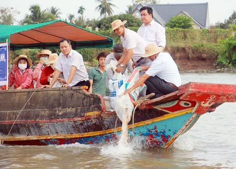 Các đại biểu đã tham gia thả hơn 200.000 con cá giống các loại xuống sông ngả ba sông Cổ Chiên và sông Măng Thít (xã Chánh An- Mang Thít).