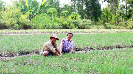 Nhờ trồng luân canh lúa- hẹ đạt hiệu quả mà đời sống gia đình anh Thành (trái) thêm khấm khá, có điều kiện xây cất nhà cửa khang trang.