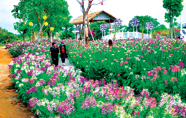 Vườn hồng Tư Tôn đượm nét truyền thống nhưng vẫn hiện đại, mới lạ.