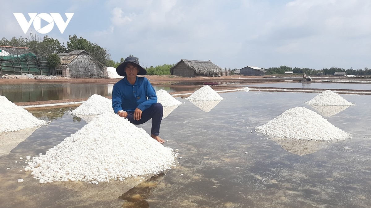 Dù muối tại xã Bảo Thạnh, huyện Ba Tri chất lượng khá nhưng giá chưa đến 35.000 đồng/giạ.
