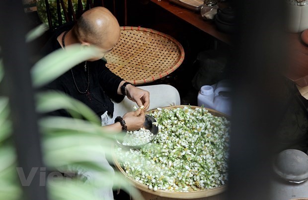 Nghệ nhân Hà Nội đang trong quá trình làm trà ướp hoa bưởi. (Ảnh: Xuân Mai/Vietnam+)