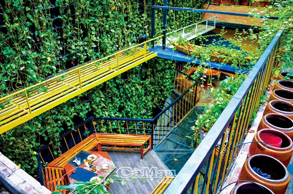 Một số quán cà phê trên địa bàn TP Cà Mau trồng thêm cây xanh, tạo không gian thư giãn lý tưởng cho khách. (Ảnh chụp quán cà phê Zero One, Phường 5, TP Cà Mau).