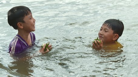 Trái bần gắn liền với ký ức tuổi thơ trẻ con miền sông nước.