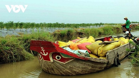  Giao thông thủy tỉnh Vĩnh Long tham gia tích cực trong việc vận chuyển hàng hóa nông sản đi tiêu thụ.