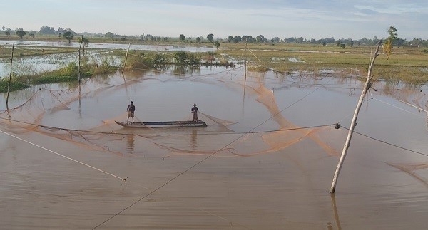 Người dân Phú Hữu dùng vó cất bằng máy để đánh bắt thủy sản mùa nước nổi...