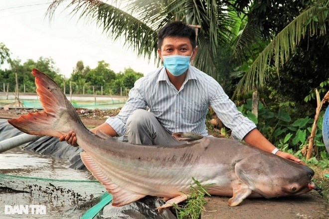 Anh Phan Minh Luận bên con cá tra dầu nặng 30kg (Ảnh: Bảo Kỳ).