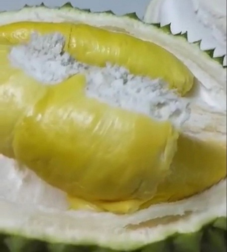 Cơm sầu riêng musang king.