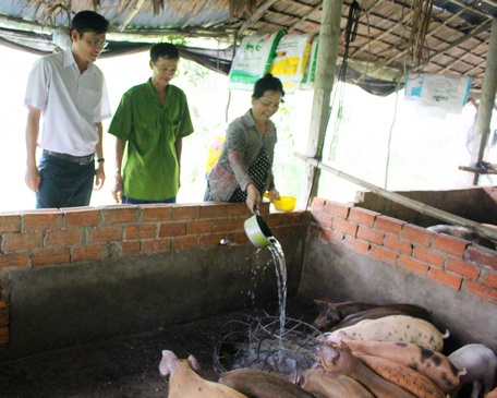 Từ nguồn vốn vay giúp cho nhiều nông dân có điều kiện vươn lên.