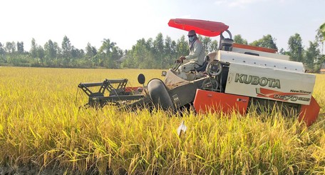 Mục tiêu của đề án là phát triển sản xuất lúa gạo vùng ĐBSCL theo hướng nâng cao hiệu quả và phát triển bền vững.