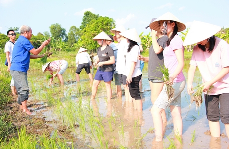 Vĩnh Long có nhiều lợi thế phát triển du lịch. Trong ảnh: Đoàn khách nước ngoài du lịch trải nghiệm ở huyện Long Hồ.