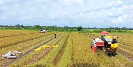 Thời gian tới, các HTX cần cập nhật các chủ trương, chính sách để bổ sung vào chương trình kế hoạch và hoạch định hướng đi cho HTX.