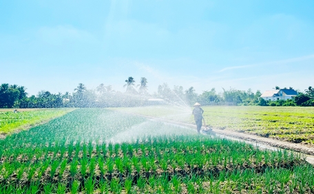 Nhờ thủy lợi được đầu tư khép kín, giúp người dân chủ động nguồn nước tưới tiêu, phát triển sản xuất nông nghiệp.