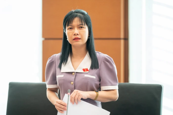 Đại biểu Quốc hội đề nghị chế tài mạnh 'giữ đất chờ tăng giá'