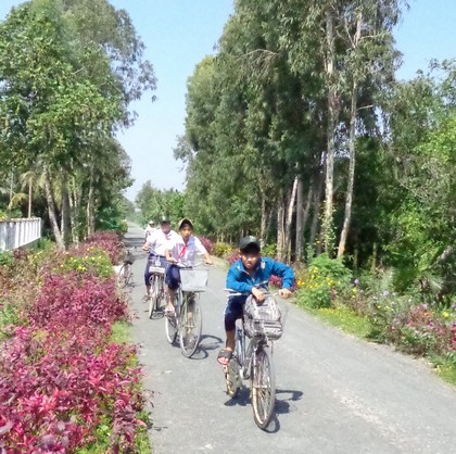 Nhiều tuyến đường ở Phú Lộc tươi sắc hoa.