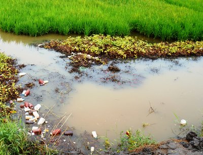 Trước sức ép ô nhiễm môi trường, nhu cầu nước sạch nông thôn tăng cao.