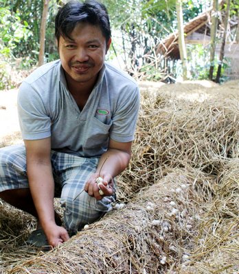 Anh Nguyễn Văn Rõ nhờ trồng nấm rơm mà vươn lên phát triển kinh tế.