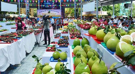 Bưởi Năm Roi Vĩnh Long tại Hội thi trái cây ngon trong lễ hội năm 2015. Ảnh do Công ty Du lịch Suối Tiên cung cấp.