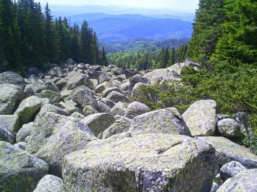 Big Stone không phải là dòng sông đá duy nhất trên thế giới. Những dòng sông đá tương tự cũng được phát hiện tại các vùng khác của núi Ural. Ngoài nước Nga, một số sông đá cũng xuất hiện trên núi Vitosha ở Bulgaria (ảnh).