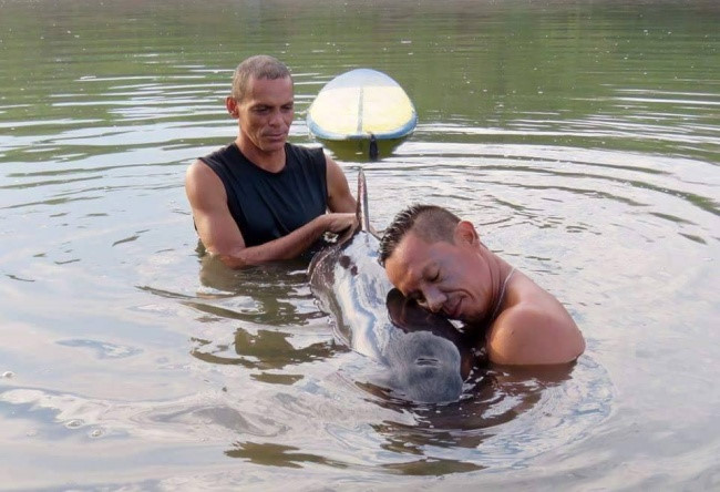 Hai người đàn ông cứu giúp một cá voi con bị lạc mẹ.