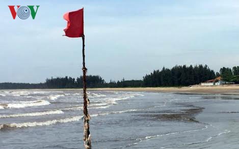 Bãi biển xã Quỳnh Phương nơi Cương tắm biển và bị sóng cuốn mất tích.