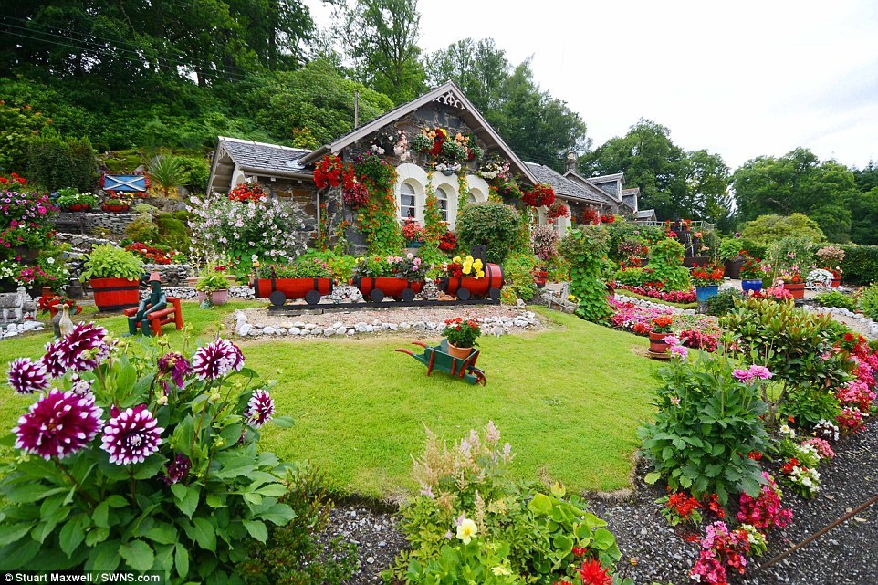 Hai vợ chồng ông đã quyết định cải tạo khu vườn và ngay lập tức khu vườn đã trở thành tâm điểm chú ý của nhiều người.