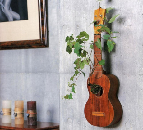 Một cây đàn guitar cũ có thể trở thành nơi trồng cây dây leo. 