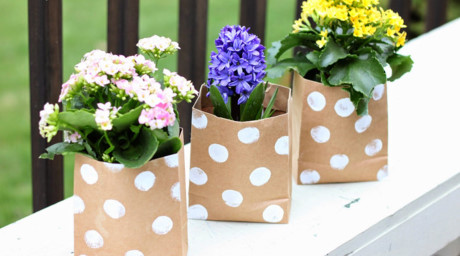 Bạn có đồng ý rằng những bông hoa trong túi giấy nhìn cực kỳ dễ thương và nhẹ nhàng?
