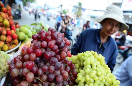 Trong một diễn biến khác, Cục Bảo vệ thực vật vừa xác định dư lượng thuốc bảo vệ thực vật trong nho Trung Quốc nhập khẩu qua cửa Lào Cai vượt mức cho phép 3-5 lần. 