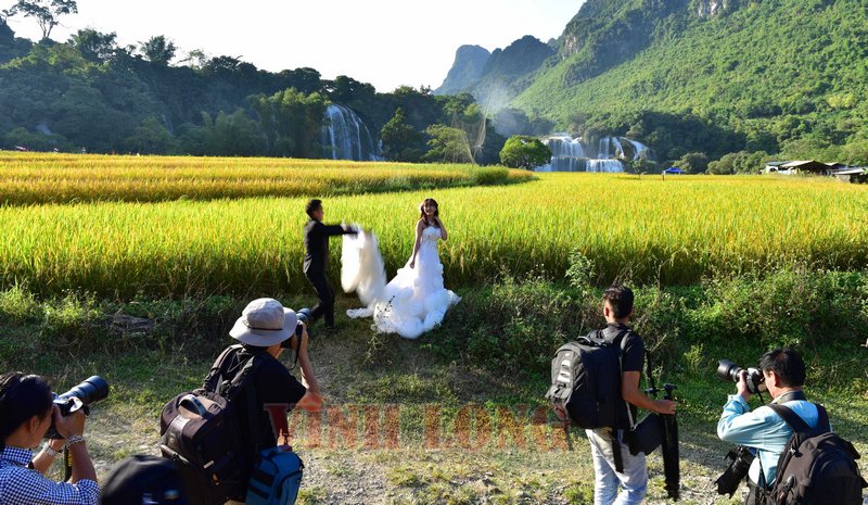 Các cô dâu, chú rể và đông đảo các nhiếp ảnh gia cũng chọn nơi này để ghi lại những khoảnh khắc tuyệt vời mà thiên nhiên ban tặng