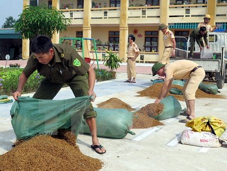Lực lượng công an giúp người dân phơi lúa tại Trường Tiểu học Thạch Lâm, huyện Thạch Hà. (Ảnh: Công Tường/TTXVN)