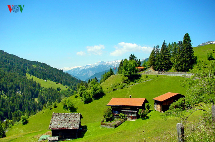 Ngắm Nhìn Thụy Sĩ Tuyệt Đẹp Với Phong Cảnh Thiên Nhiên Hùng Vĩ - Vĩnh Long  Online