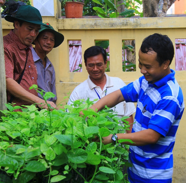 Cán bộ, chiến sĩ, người dân trên các đảo huyện đảo Trường Sa trồng cây xanh để cải thiện bữa ăn.