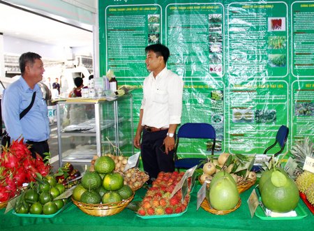 Với việc tăng cường quảng bá, tiếp thị, nhiều sản phẩm trái cây của Vĩnh Long đã có thị trường rộng mở.