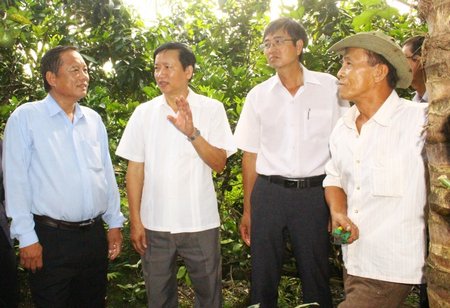 Lãnh đạo tỉnh, thành phố tham quan và chia sẻ kinh nghiệm với ông Thái (bìa phải) về việc chuyển đổi cơ cấu cây trồng ở đô thị.