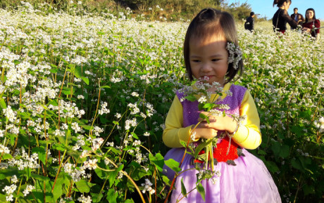 Đồng bào dân tộc Mông ở bản Gia Khâu, xã Nậm Loỏng cho biết, từ khi có hoa tam giác mạch ở địa phương đã thu hút rất đông khách du lịch.