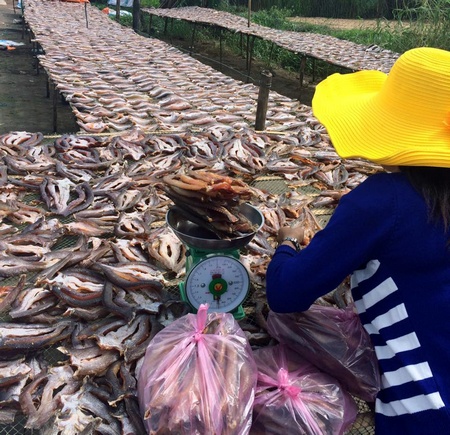 Do thị trường tết mới khởi động và giá cá nguyên liệu rẻ nên khô cá lóc vẫn có giá khá rẻ. Trong ảnh: Cơ sở chế biến khô cá lóc tại huyện Chợ Mới.