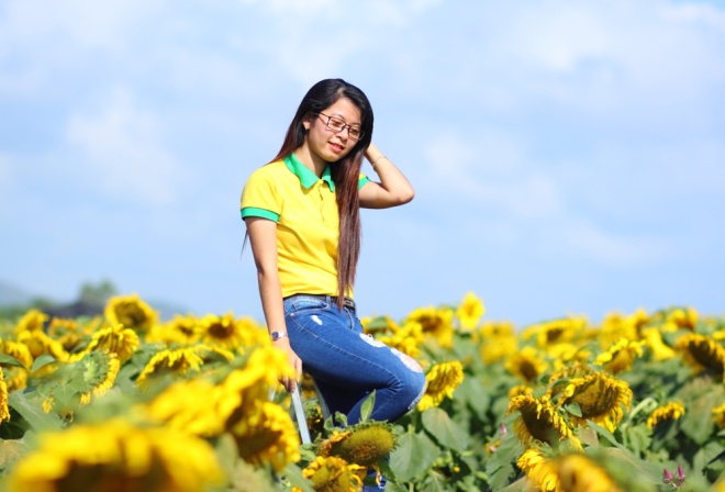 Không phải là lần đầu tiên có cánh đồng hoa hướng dương ở Nghệ An, nhưng điểm đến này vẫn có sức hút với giới trẻ tìm tới du ngoạn.