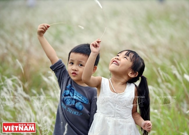 Đến với cánh đồng cỏ lau, các em nhỏ như được hòa mình với thiên nhiên, thỏa thích nô đùa. (Nguồn: Báo ảnh Việt Nam)