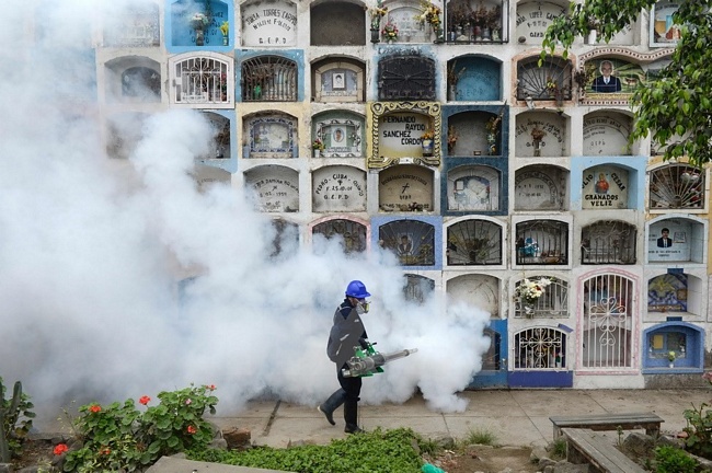 Virus Zika lây lan rộng trên thế giới: Phun thuốc diệt muỗi nhằm ngăn chặn sự lây lan của virus Zika tại Lima, Peru. (Nguồn: AFP/TTXVN)