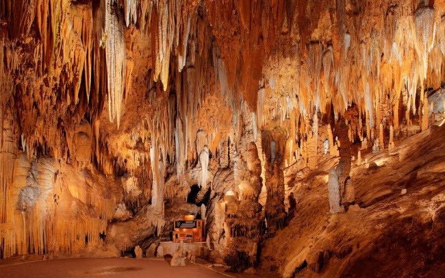 Trong hệ thống hang động 400 triệu năm tuổi Luray Caverns tại vùng hẻo lánh ở bang Virginia của Mỹ, du khách sẽ có cơ hội thấy nhạc cụ lớn nhất thế giới là cây đàn organ Great Stalacpipe được xây dựng vào năm 1954.  Ngoài ra, bạn cũng có thể chiêm ngưỡng vẻ đẹp của nhũ đá trong hệ thống hang động này.