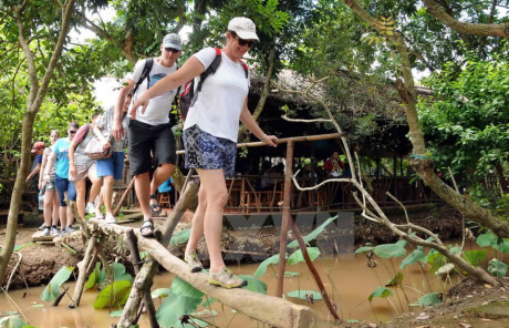Việt Nam đón 10 triệu lượt du khách quốc tế: Du khách quốc tế trải nghiệm đi cầu khỉ tại cù lao Thới Sơn. (Ảnh: An Hiếu/TTXVN)